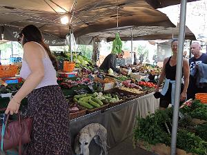 2024 11 02 EN FLANANT SUR SANARY (36)